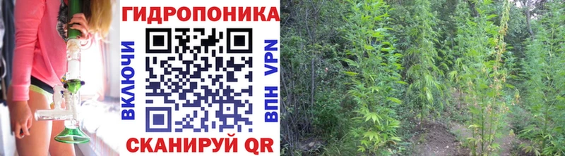 Марихуана OG Kush наркошоп МЕГА tor Воскресенск